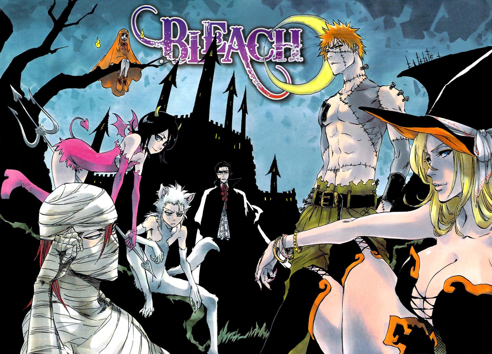 The Ultimate Guide to the Anime and Manga Series Bleach